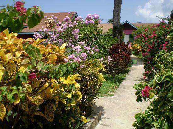 Summerset Resort&Hotel Training School Negril Exterior foto