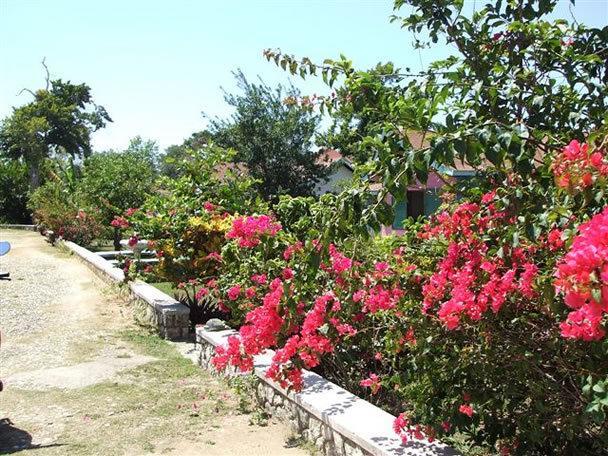 Summerset Resort&Hotel Training School Negril Exterior foto